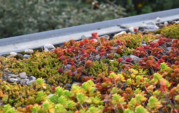 the cost of Birch Acre green roof installation