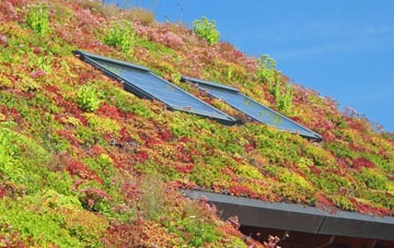 Birch Acre living roof systems